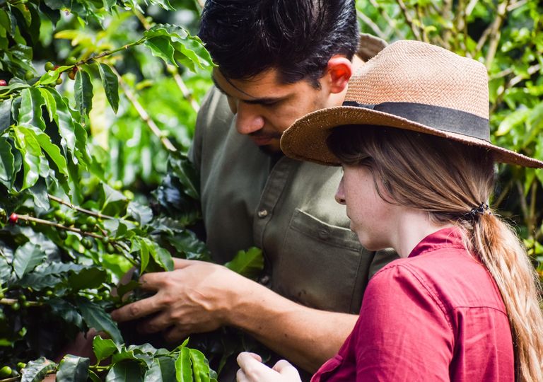 Os danos que o clima trará para a agricultura brasileira Os danos que o clima trará para a agricultura brasileira