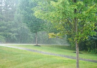 Os diferentes tipos de chuva e os mais comuns em Portugal