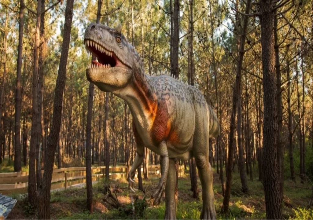 Dinossauros Dinossauros