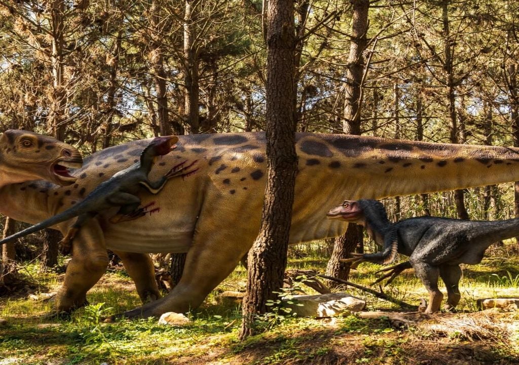 Dinossauros Dinossauros