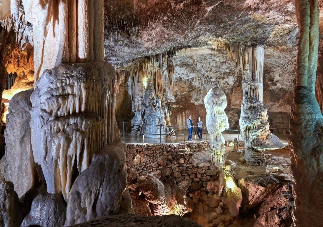 Vous pouvez les trouver dans la grotte de Postojna. Photo : @postojnacave