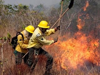 Os fatores que agravam a época de queimadas na Amazônia