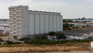Os gigantes de bet&atilde;o voltam a guardar o futuro: dos cereais &agrave; energia renov&aacute;vel