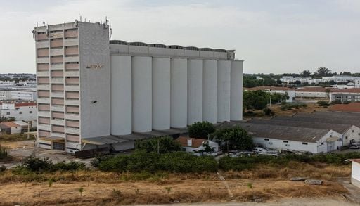 Os gigantes de bet&atilde;o voltam a guardar o futuro: dos cereais &agrave; energia renov&aacute;vel