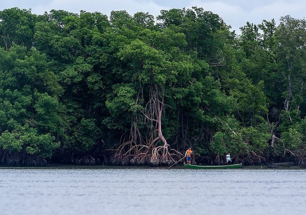 Brasil