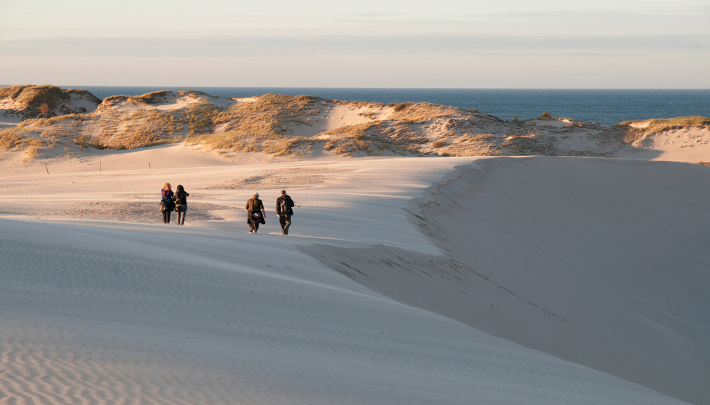 As dunas polacas movem-se até 10 metros por ano, engolindo florestas inteiras e revelando troncos fossilizados antigos.
