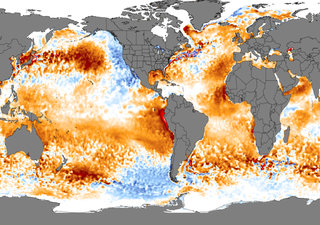 Oceanos estão mais quentes do que nunca! O que isso implica para o clima?