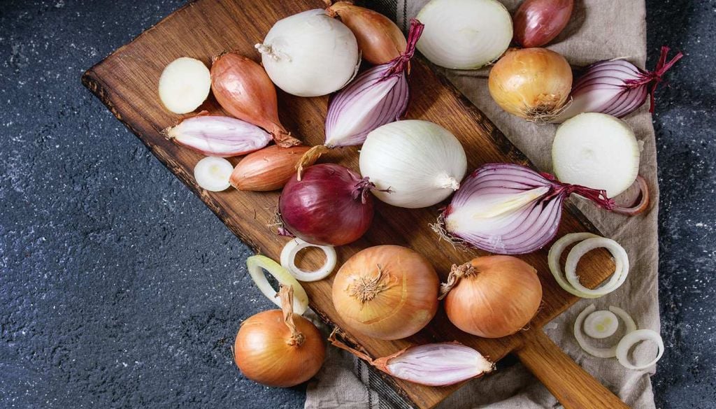 Uso a cebola Versátil e indispensável na cozinha portuguesa, a cebola é uma das hortícolas mais cultivadas no país.