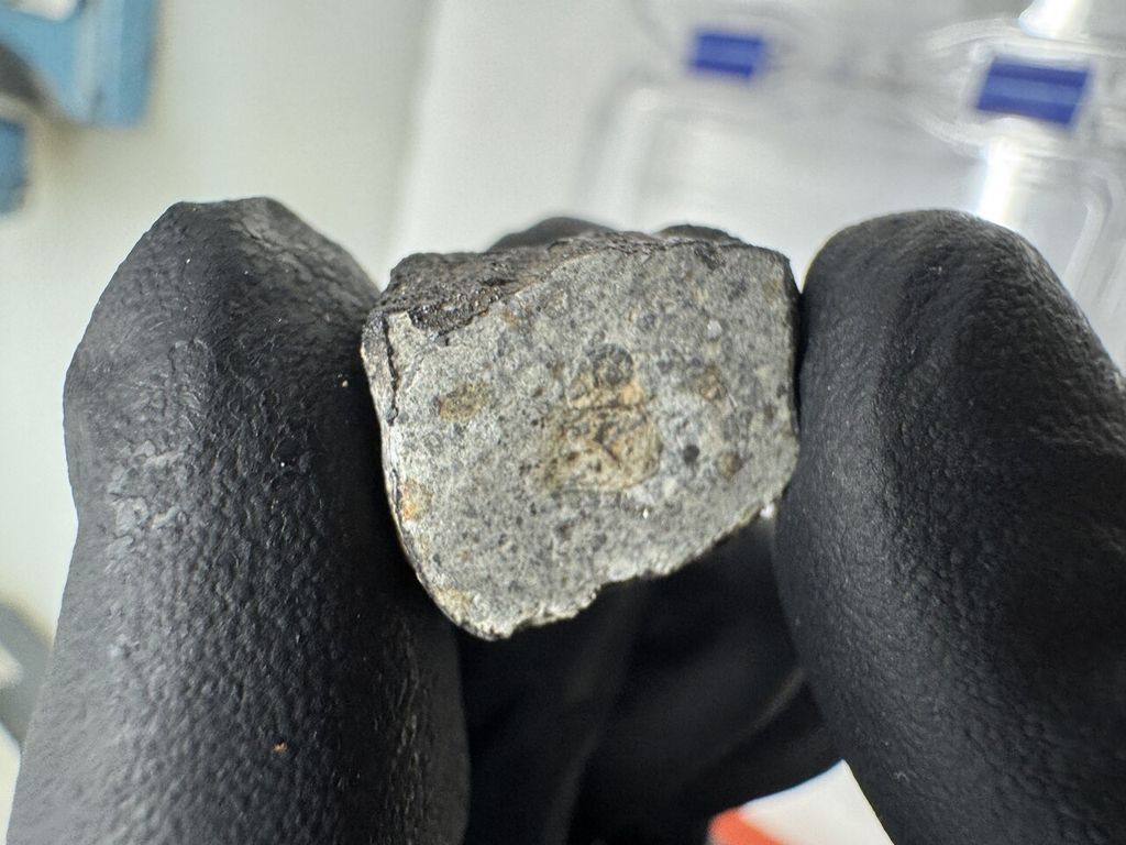 Zur Untersuchung wurde das Meteoriten-Fragment zersägt. Das Foto zeigt den Anschnitt. Zur Untersuchung wurde das Meteoriten-Fragment zersägt. Das Foto zeigt den Anschnitt.