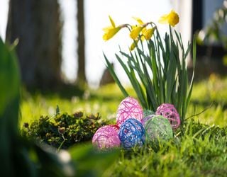 Kommt der Frühling an Ostern? Neue Wetterkarten machen Hoffnung!