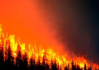¡El cambio climático ha duplicado el potencial de incendios extremos en el este de Canadá!