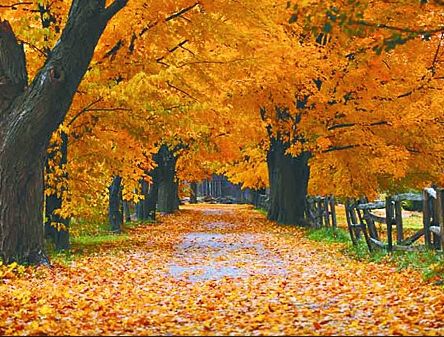 Otoño 2016: Temperaturas Superiores A Lo Normal