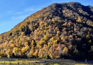 Oto&ntilde;o en Chile: descubre 4 parques nacionales que parecen sacados de un cuento