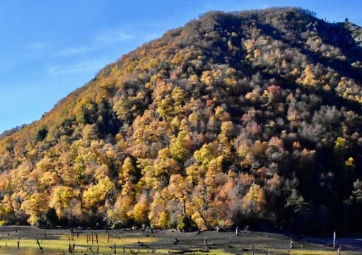 Oto&ntilde;o en Chile: descubre 4 parques nacionales que parecen sacados de un cuento
