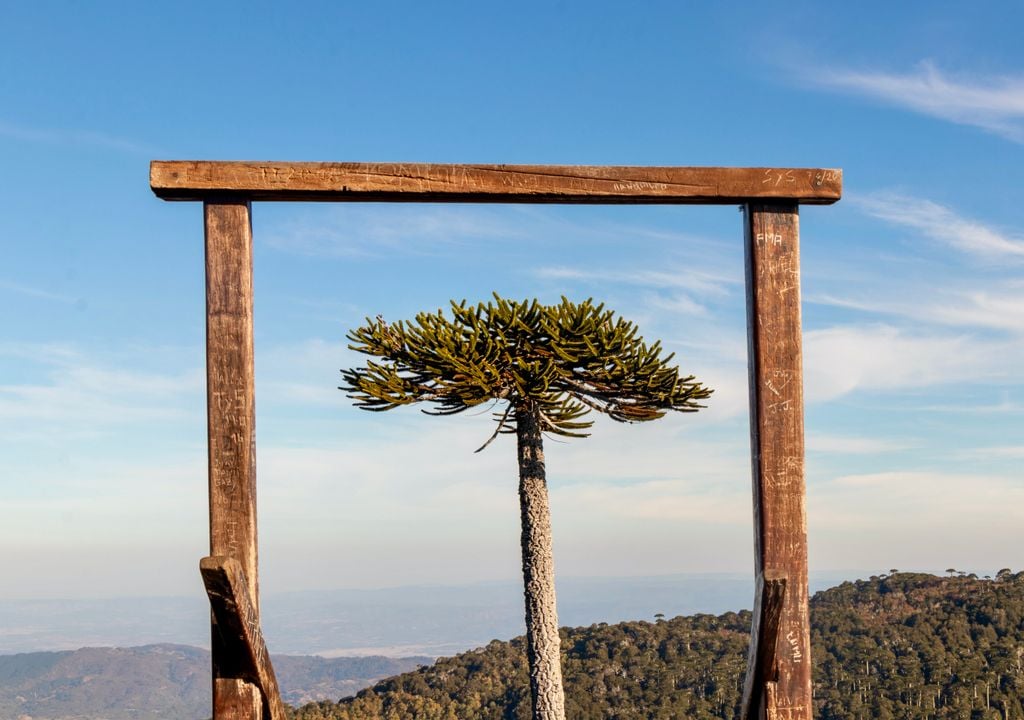 Piedra del Águila, Parque Nacional Nahuelbuta. El mirador Piedra del Águila es el más emblemático del Parque Nacional Nahuelbuta.