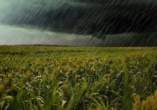 Otra DANA. Por qué las próximas lluvias pueden ser desastrosas