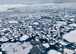 Otra de este 2020: el hielo del Ártico ha tenido una pérdida histórica