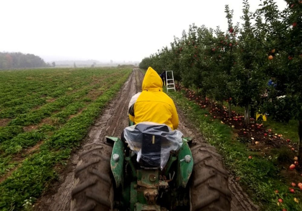 Pronóstico fin de semana alerta tormentas lluvias