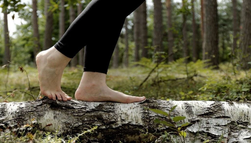 Sentir l'écorce des arbres sous ses pieds.