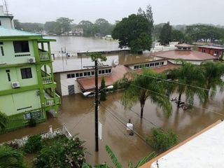 Ouragan Eta : 200 morts en Amérique centrale, les États-Unis menacés