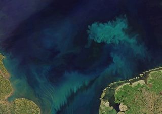 Out of the blue: climate change is altering the colour of the oceans