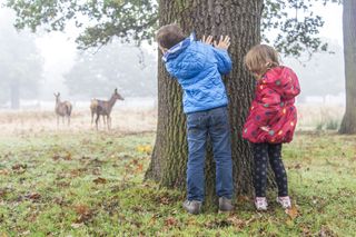 Weather outlook for the rest of November: snow signs