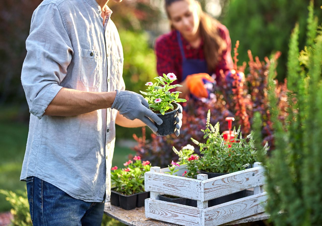 La jardinería es una actividad que se puede realizar durante todo el año, incluso en esta época en la que en el hemisferio norte tendremos menos radiación solar y las temperaturas serán más bajas.
