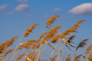 Over 3 million Americans across the Plains are under the risk of high fire danger