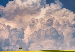 Overshooting tops: así es cómo estas impresionantes formaciones nubosas pueden ayudar a predecir tormentas muy fuertes