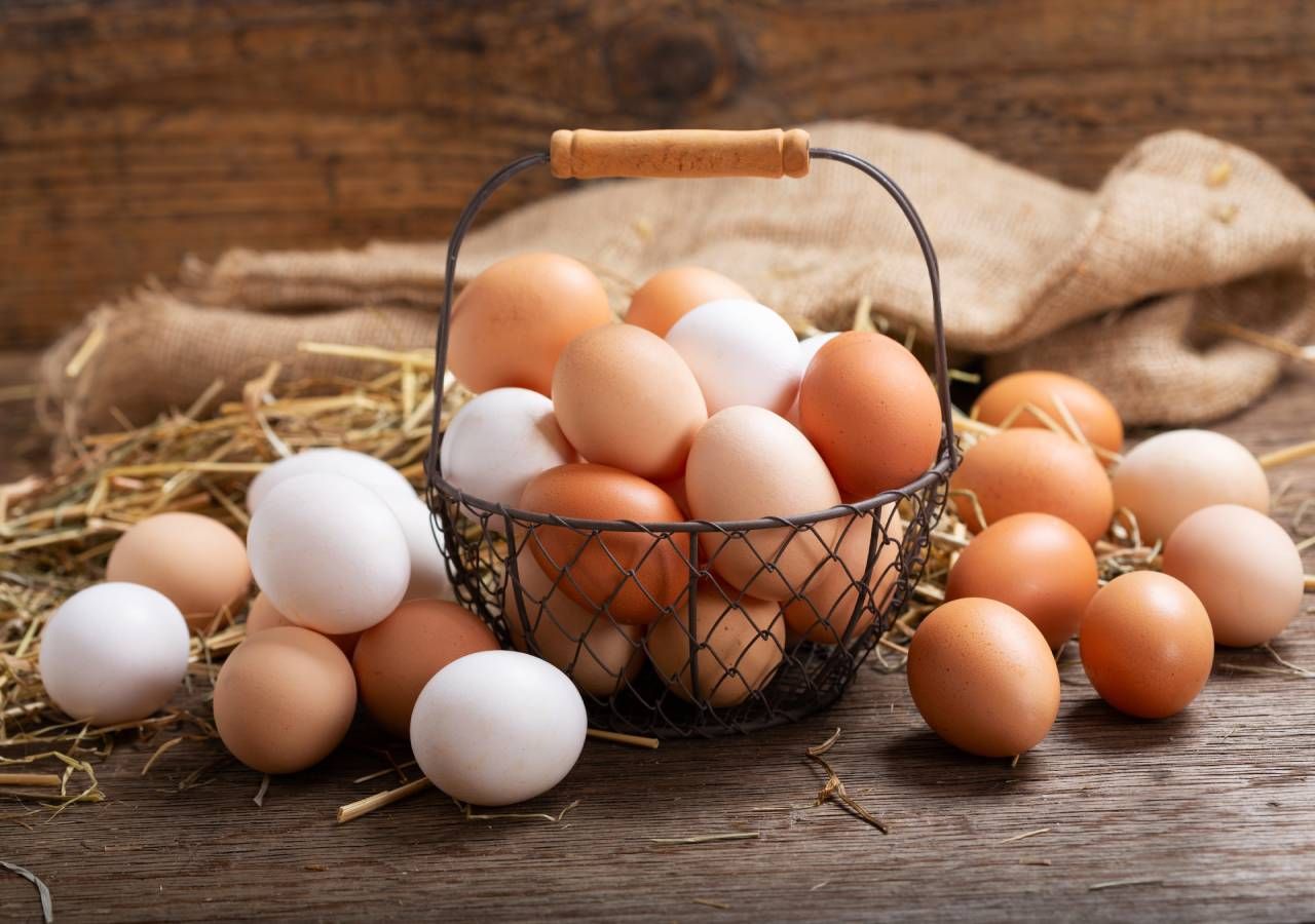 O ovo é um alimento de origem animal oriundo de diversas espécies - aves, répteis, anfíbios e peixes - e está presente na alimentação humana há milhares de anos.