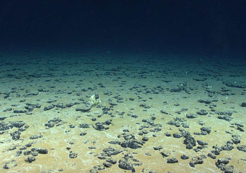 Oxigênio está sendo produzido no fundo do mar em um ambiente sem luz!