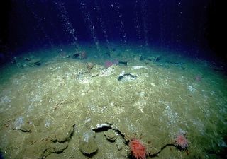 Un grupo de científicos han encontrado algo excepcional en una zona del planeta: el llamado 'oxígeno oscuro'