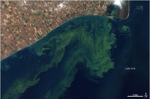 Pace: Plankton, Aerosol, Cloud, Ocean Ecosystem Pace: Plankton, Aerosol, Cloud, Ocean Ecosystem