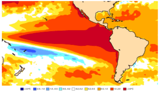 Super El Ni&ntilde;o: Pac&iacute;fico aquece acima das previs&otilde;es e ECMWF refor&ccedil;a pico superior a 3&deg;C