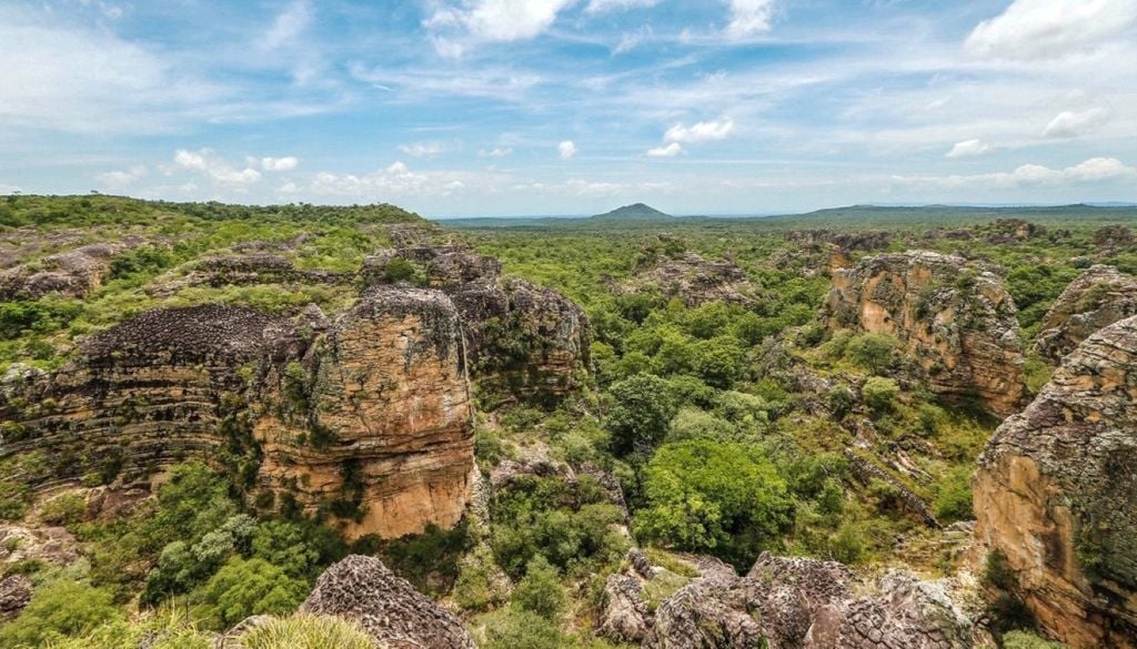 A expansão das hidrelétricas alagou 312 mil hectares de vegetação nativa ao longo dessas quatro décadas – Foto: Thiago Amaral/Governo do Piauí A expansão das hidrelétricas alagou 312 mil hectares de vegetação nativa ao longo dessas quatro décadas – Foto: Thiago Amaral
