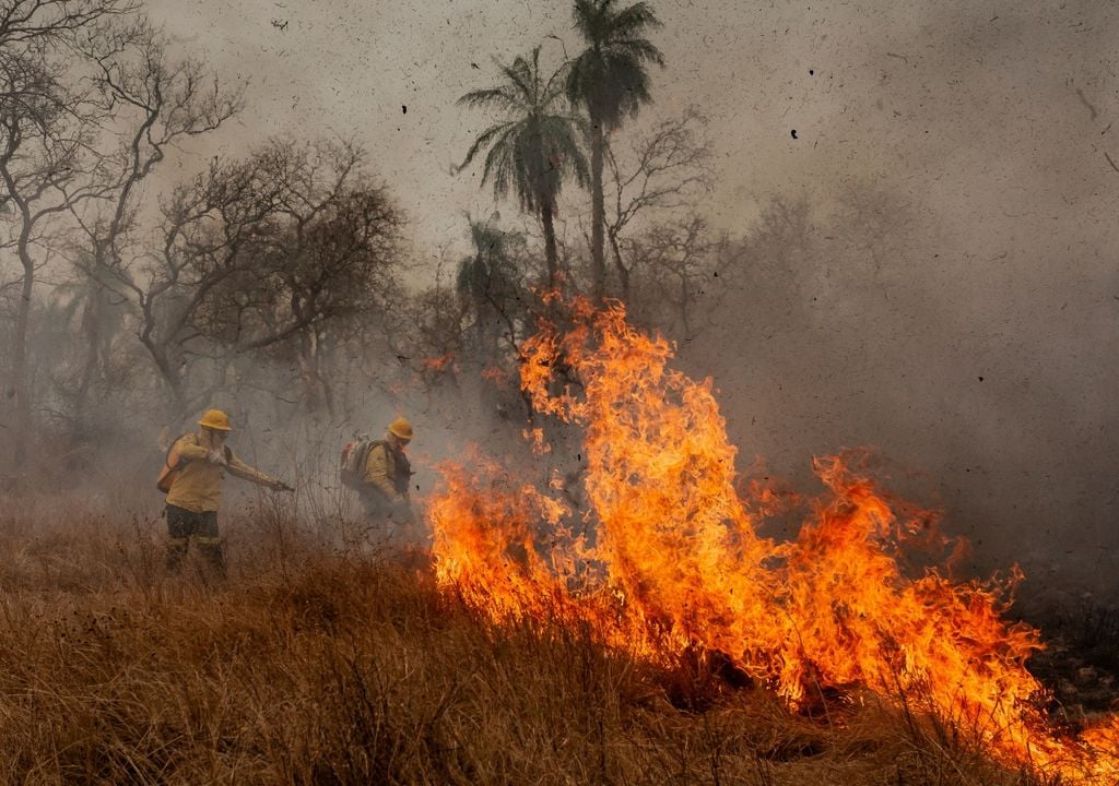 incendio forestal El combate a los incendios forestales es cada vez más complejo, en parte, debido a consecuencias del cambio climático, como la escasez de lluvias.