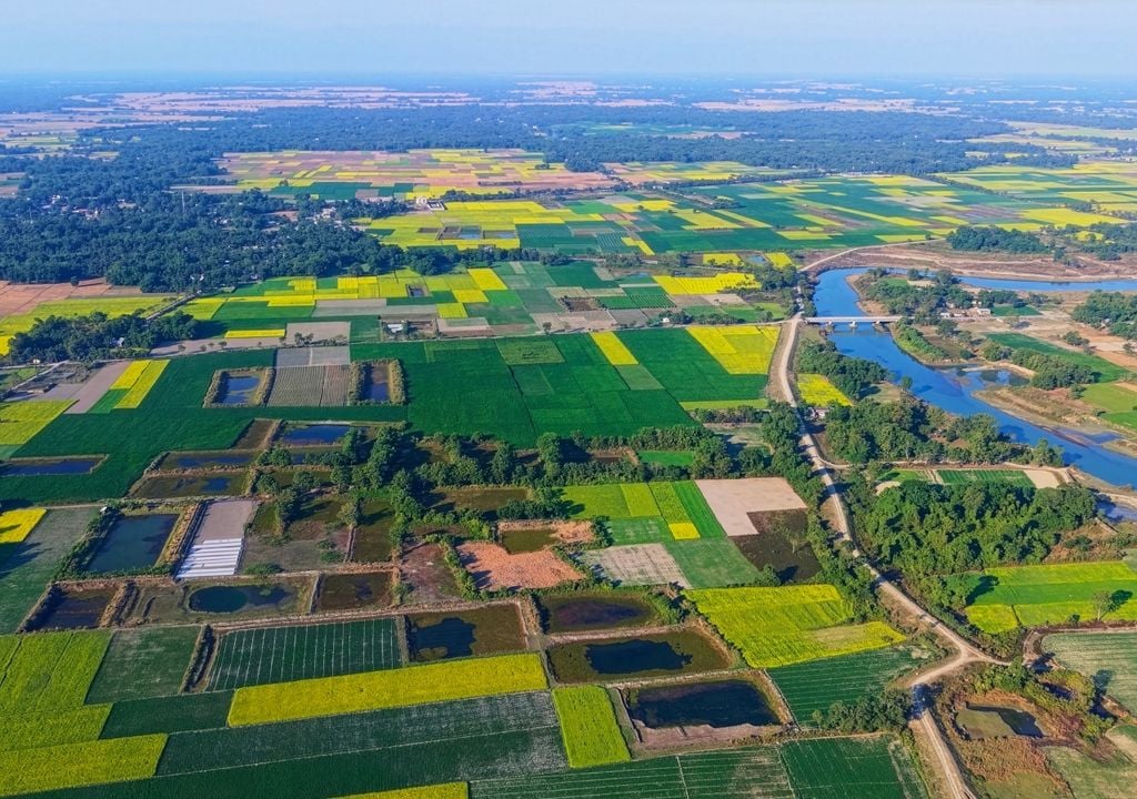 paisaje mosaico El paisaje mosaico desde el aire se ve como una serie de parches de distinto color, que representan la diversidad de usos del suelo.