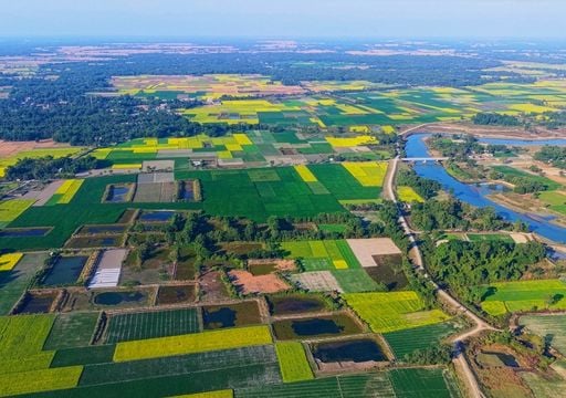 Paisaje mosaico y otras estrategias probadas para disminuir el riesgo de megaincendios