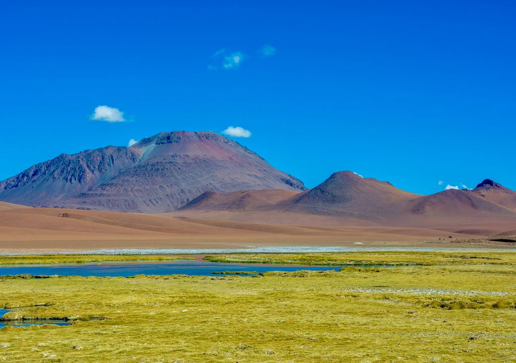 Bofedal de Quepiaco, Ruta de los Salares, San Pedro de Atacama. Bofedal de Quepiaco, Ruta de los Salares, San Pedro de Atacama.