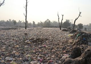 Paises insulares del Pacífico se presentaron ante la Corte Internacional para que el ecocidio se reconozca como delito