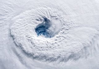 Pájaros atrapados en el ojo del huracán Melissa: el inquietante fenómeno que asombra a los meteorólogos