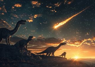 Paleontólogos encuentran un huevo de dinosaurio ¡del tamaño de una nuez! 