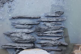 Palizzate di epoca romana e medievale appena scoperte in Italia rivelano importanti variazioni del livello marino