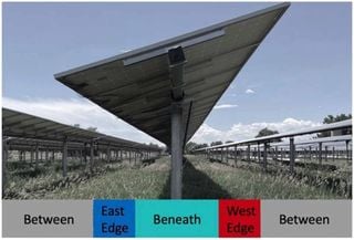 ¿Pueden los paneles solares ayudar a los pastizales durante la sequía? Un grupo de científicos tiene la respuesta