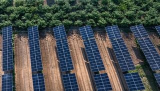 "Paneles solares que no hacen sombra": el invento espa&ntilde;ol que revoluciona la convivencia entre agricultura y energ&iacute;a