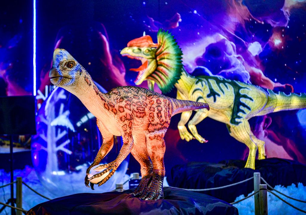 Dino Adventure en Santiago de Chile. Dino Adventure en Santiago de Chile.