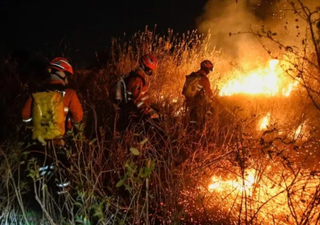 Pantanal e Cerrado registram o maior número de incêndios em 30 anos e a Amazônia enfrenta o pior cenário em 20 anos