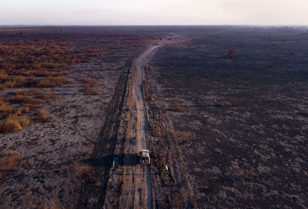 Área do Pantanal em Corumbá (MS) depois de ter sido devastada por incêndios em julho de 2024. Crédito: Gustavo Basso / NurPhoto via Getty Images