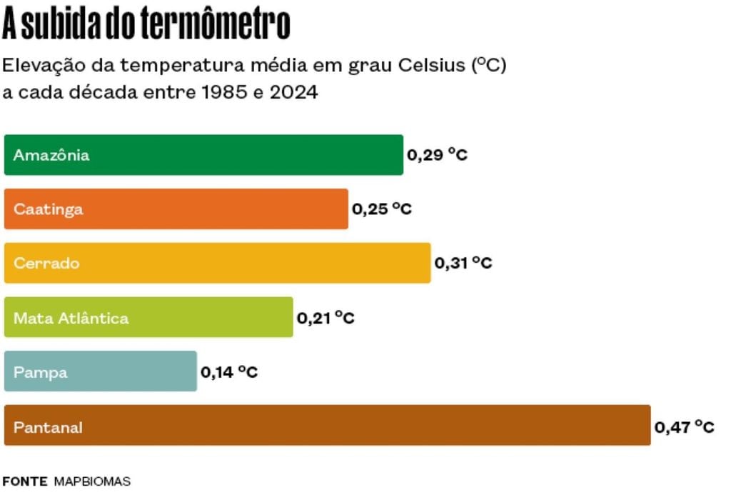 Estudo mostra que temperaturas máximas têm subido mais rapidamente do que as mínimas no Pantanal. Crédito: Alexandre Affonso / Revista Pesquisa FAPESP