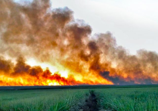 Número de focos de incêndio no Pantanal em um dia é maior do que o registrado em julho de 2023